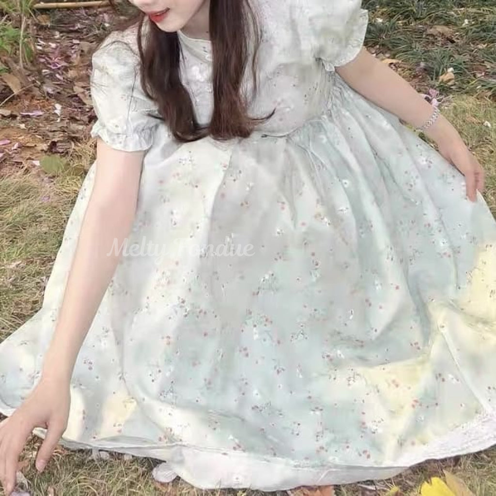 花畑で寝転ぶ少女の夢ワンピース