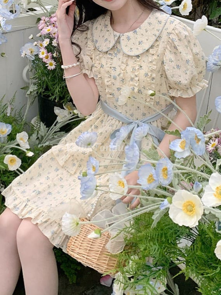 花畑と青空ワンピース