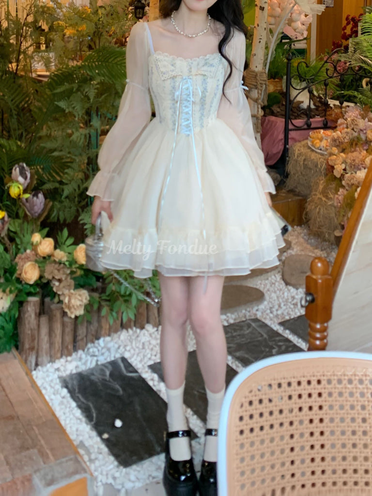 白鳥に出会う水辺のワンピース